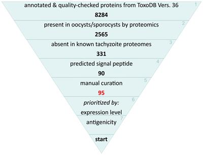 Limited value of current and new in silico predicted oocyst-specific proteins of Toxoplasma gondii for source-attributing serology